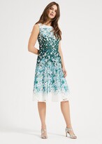 Thumbnail for your product : Phase Eight Angela Lace Dress