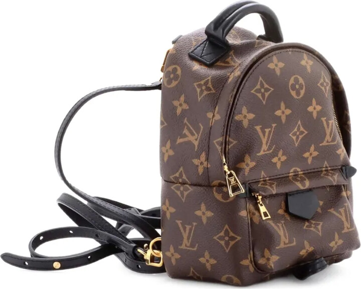 Louis Vuitton Pre-Owned Palm Springs Monogram Canvas Mini backpack