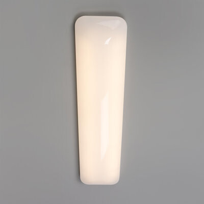 Yosemite Home Decor 2-Light Overhead Fluorescent Puff Light