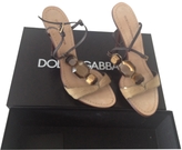 Thumbnail for your product : Dolce & Gabbana Beige Sandals