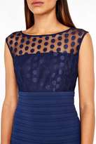 Thumbnail for your product : Navy Mesh Embroidered Dress