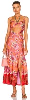 Thumbnail for your product : Alexis Nisa Maxi Dress in Orange