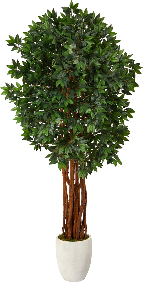 Nearly Natural 6' Lychee Artificial Tree in White Planter