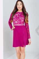 Thumbnail for your product : Little Mistress Raspberry Lace Panel Shift Dress