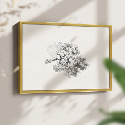 Winston Porter Vintage Sketch Work-LXXIX -Framed Print - Restickable