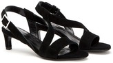 Thumbnail for your product : Aquatalia Tana Suede Kitten Heel Sandal
