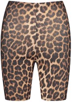 Thumbnail for your product : boohoo Petite Leopard Print Cycling Shorts
