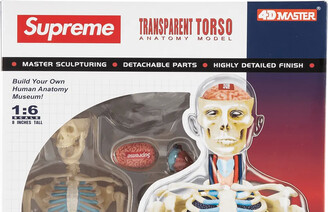 Supreme Male Anatomy Model - ShopStyle