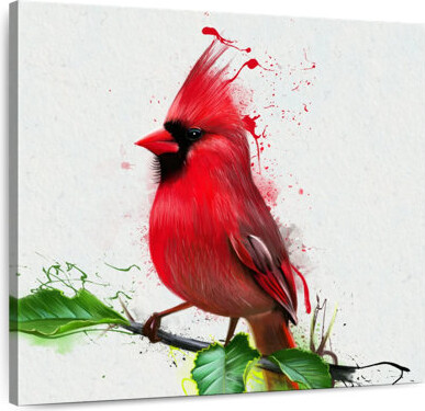 Ebern Designs Crowle Cardinal