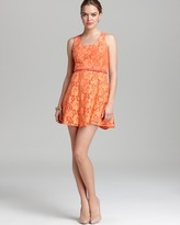 Thumbnail for your product : Ali Ro Dress - Sweet Virginia Belted Lace