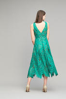 Thumbnail for your product : Tracy Reese Aria Lace Midi Dress