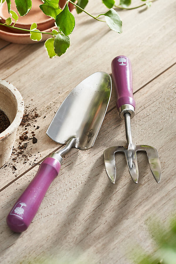 Burgon Ball Asteraceae Hand Tool Gift Set