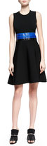 Thumbnail for your product : Proenza Schouler Contrast Whipsnake-Inset Fit-And-Flare Dress, Black Combo