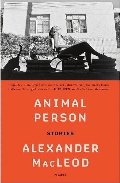 Picador USA Animal Person - by Alexander MacLeod (Paperback)