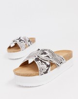Thumbnail for your product : New Look buckle detail platform in snake