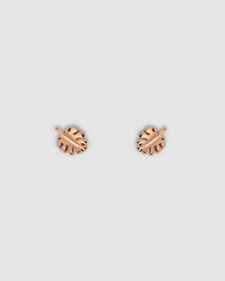 CA Jewellery - Women's Gold Earrings - Mini Monstera Leaf Studs - Rose Gold - Size One Size at The Iconic