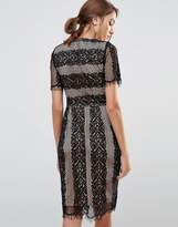 Thumbnail for your product : Oasis Stripe Lace Dress