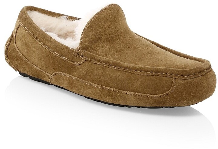 ugg ascot uggpure