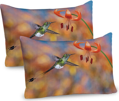 Ambesonne Bird Pillow Sham 2 Pack Racket Tail Lily Nectar Orange Green
