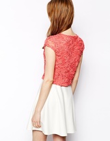 Thumbnail for your product : Pearl Cornelli Overlay Dress
