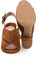 Thumbnail for your product : Roberto Festa Fede Brown Suede Sandal