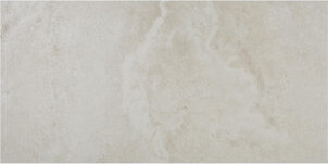 Daltile Archaia 12 x 24 Glazed Porcelain Floor Tile (9 PC Per Carton) (17.60 SQFT Per Carton)