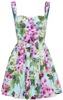 Thumbnail for your product : Dolce & Gabbana Floral cotton minidress