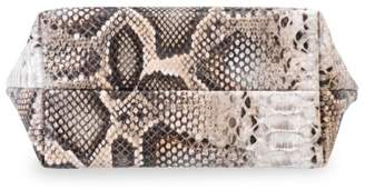 Stephanie Johnson Large laura Java Coffee Python Trapezoid Cosmetic Pouch