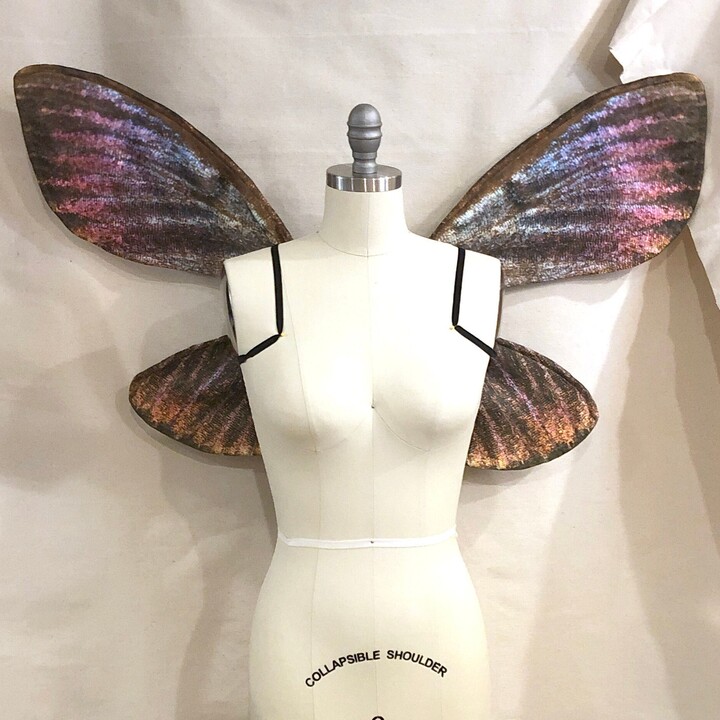 Moth Fairy Costume Wings Medium
