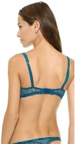 Thumbnail for your product : Calvin Klein Underwear Black Perfect Push Up Bra