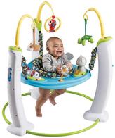 Thumbnail for your product : Evenflo Exersaucer Jump and Learn My First Pet