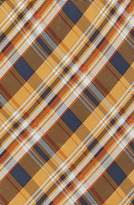 Thumbnail for your product : Donni Charm Bandit Plaid Silk Neckerchief