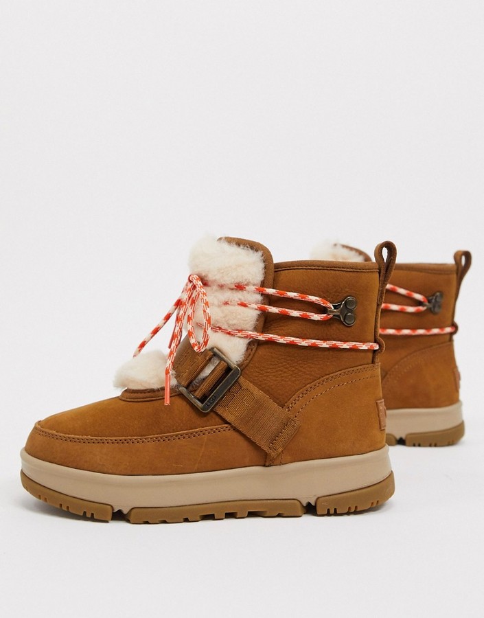 Chestnut Uggs | Shop the world's largest collection of fashion 