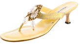 Thumbnail for your product : Manolo Blahnik Sandals
