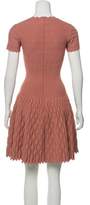 Thumbnail for your product : Alaia Trinidad Fit and Flare Dress