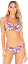 Thumbnail for your product : Maaji Lady Violet Top