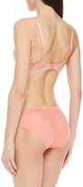 Thumbnail for your product : Wacoal Embroidered Lace Underwired Bra