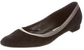 Thumbnail for your product : Manolo Blahnik Suede Pointed-Toe Flats