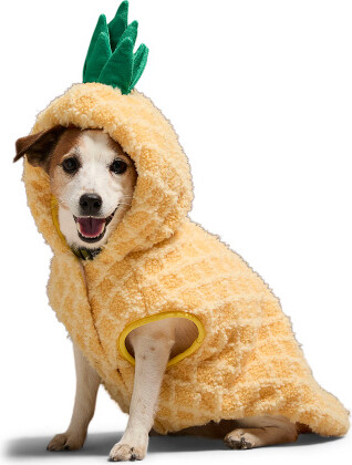 TJMAXX Pineapple Pet Costume, Polyester