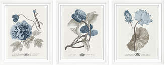 William Stafford Set of 3 Imperial flowers III Art