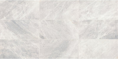 Daltile Eclessia Marble Natural Stone 12 x 24 Wall and Floor Tile Honed (5 PCS Per Carton) (10.00 SQFT Per Carton)