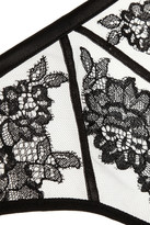 Thumbnail for your product : Agent Provocateur Demelza lace-appliquéd tulle briefs