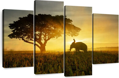 Ebern Designs Brampt Elephant Ride In Surin