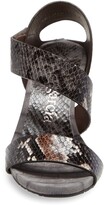 Thumbnail for your product : Pedro Garcia West Tiger Print Sandal