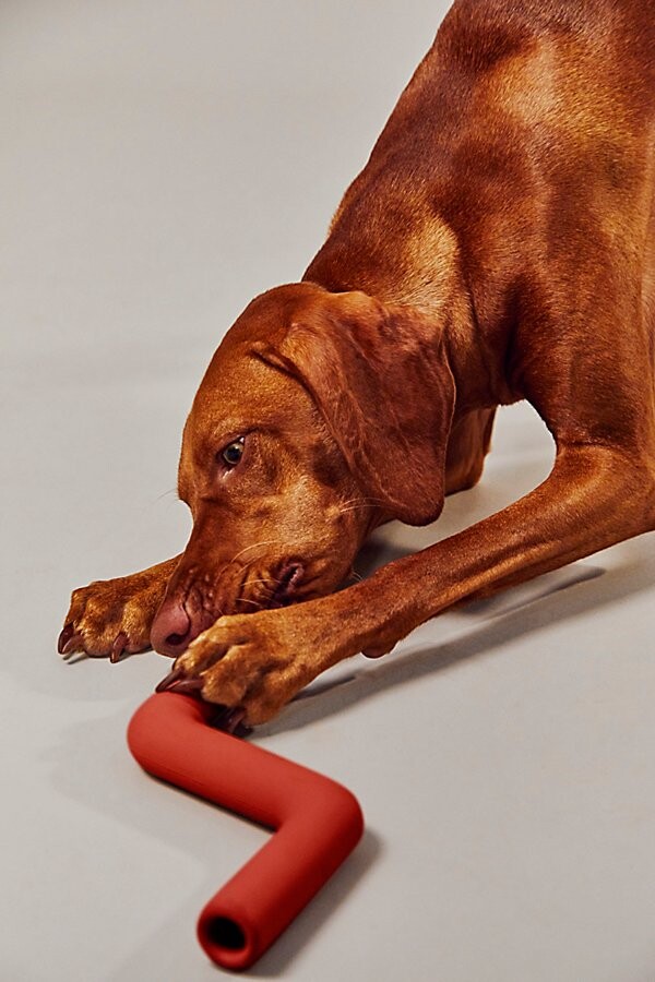 Wild One Tennis Tumble Dog Toy - Red