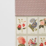 Thumbnail for your product : Burberry Botanical and Monogram Print Silk Wool Scarf