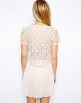 Thumbnail for your product : ASOS T-Shirt in Lace with Floral Embellishment