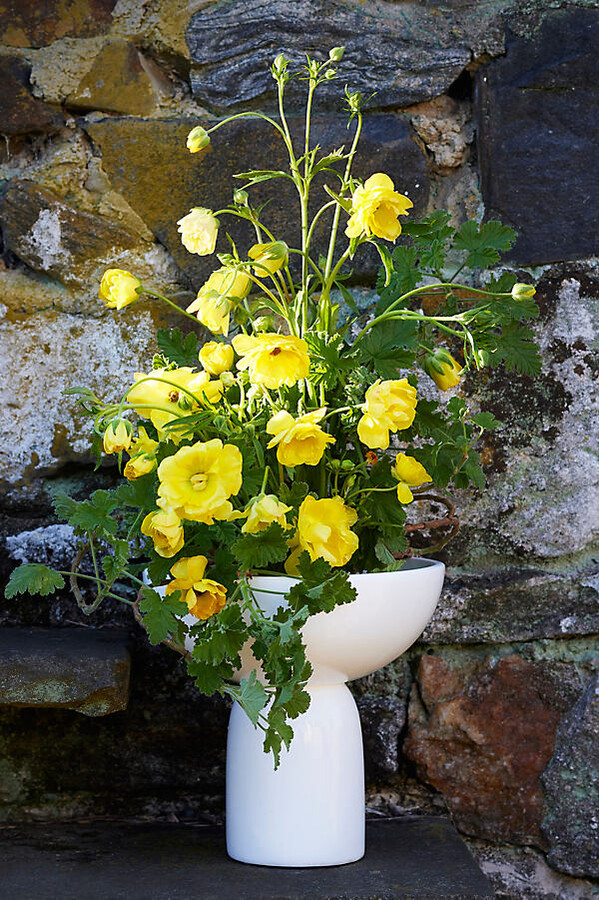 Footed Vase with Flower Frog