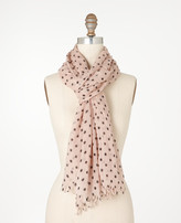 Thumbnail for your product : Ann Taylor Oversized Dot Cashmere Scarf