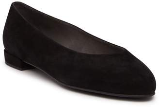 stuart weitzman chic ballet flat